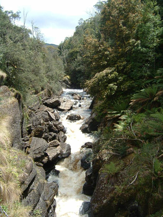 28 Tasmania.jpg